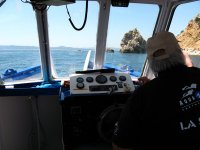 Sortie Estartit 2010 Juin 05