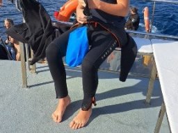 Sortie Estartit 2022 09 16